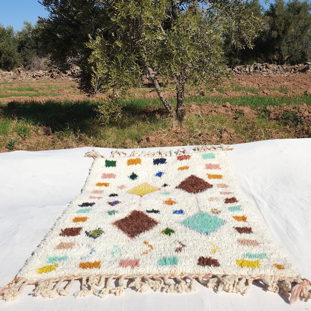 Ahnane | White Moroccan Rug 3x5 Beni Ourain Ultra Soft | 3'51x5'28 Ft | 107x161 cm - OunizZ