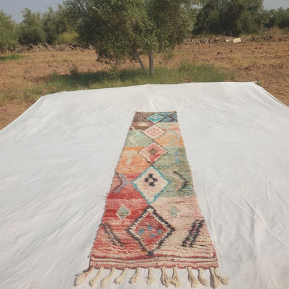 Larguiga - Tapis de Couloir Marocain Pastel Etroit a la Chaine de Medaillons Losanges sur Panneaux de Couleur - Tapis Berbere Tisse Main | 60x300 cm