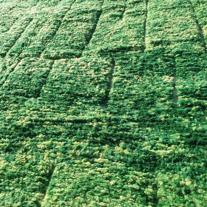 Wayal | Moroccan rug Beni Ouarain Ultra Soft | 9'78x6'62 Ft | 2x3 m | Moroccan Colorful Beni Ouarain Rug | 100% wool handmade - OunizZ